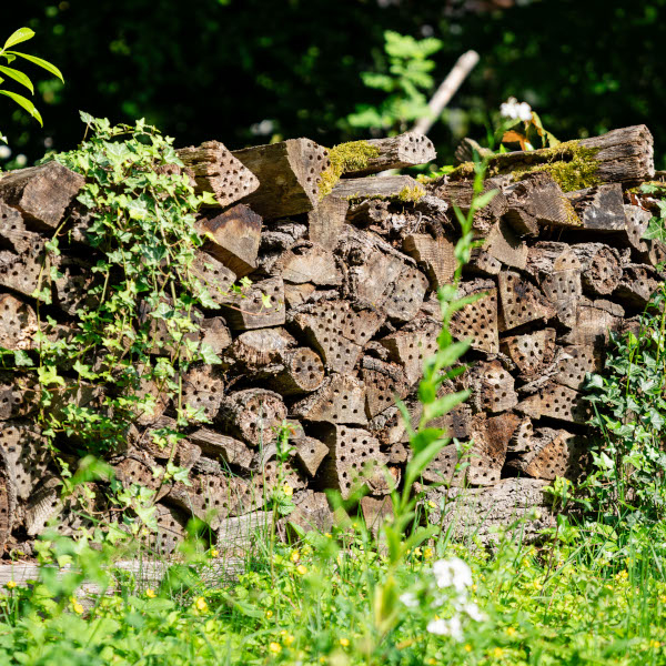 Tas de bois © Loïc Seiko - Evian Resort